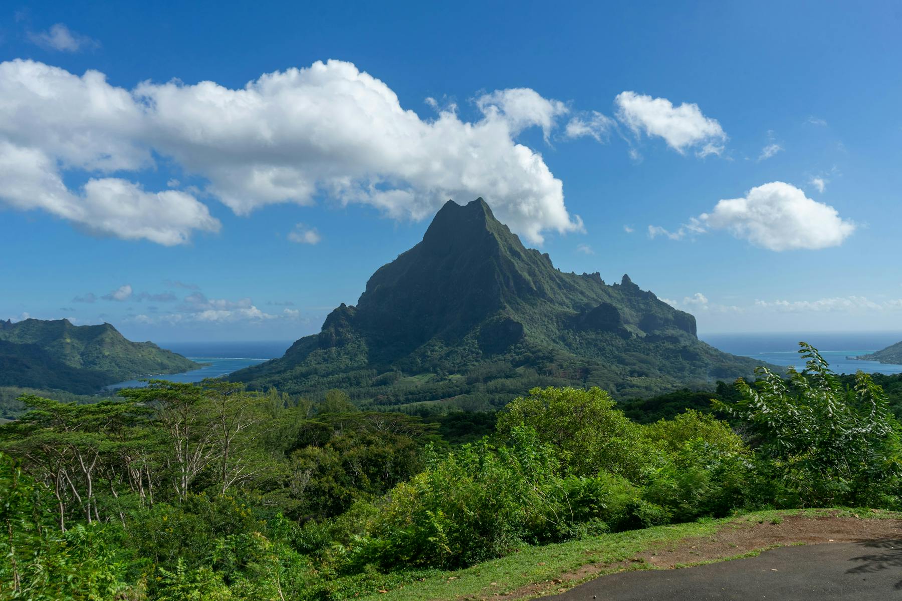 moorea Berg