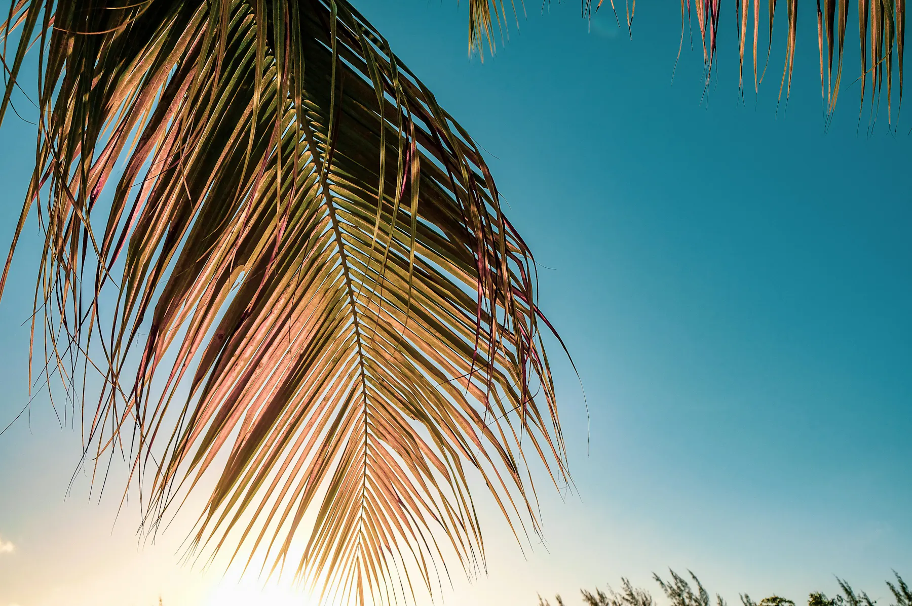 nicole keller VDpXgra10sI unsplash