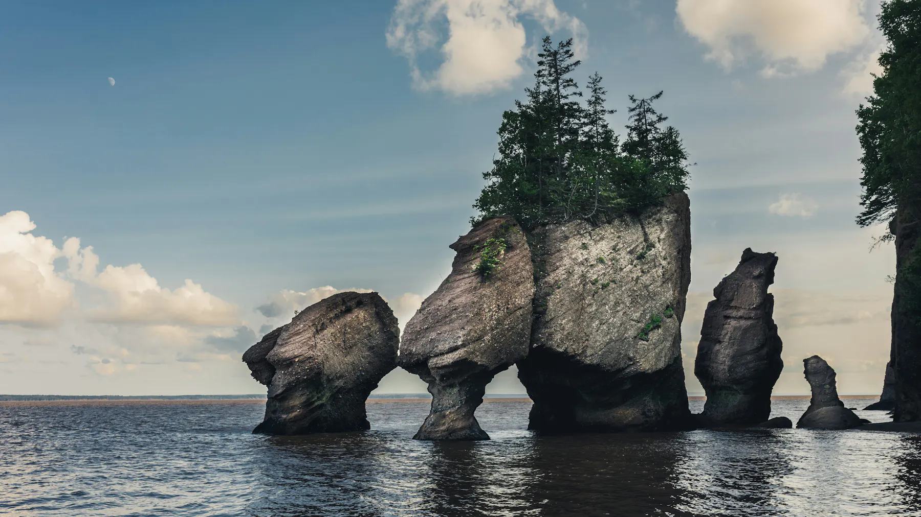 peter lloyd wH8WGw5xyO0 unsplash