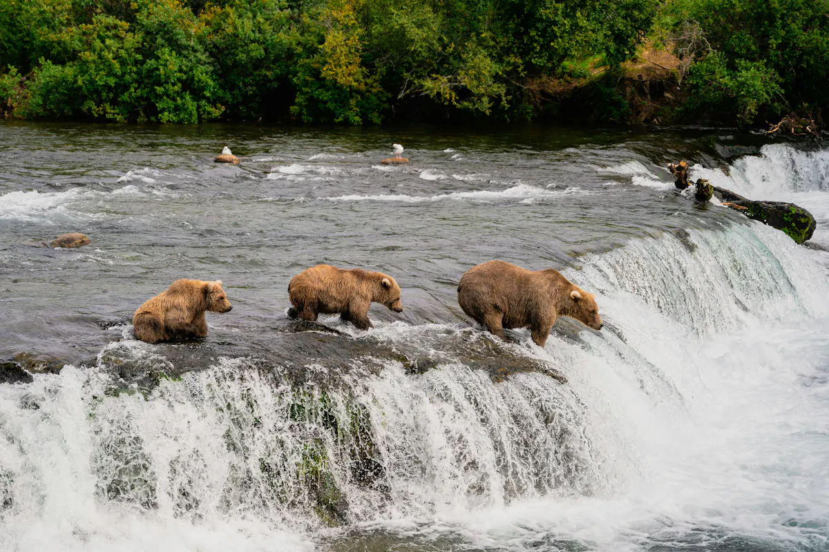 pradeep nayak 21fFzg 8MM8 unsplash