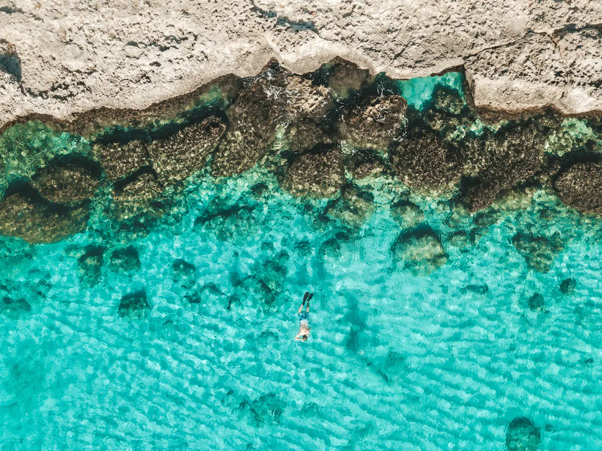 rabih shasha zRFfmZUooBs unsplash