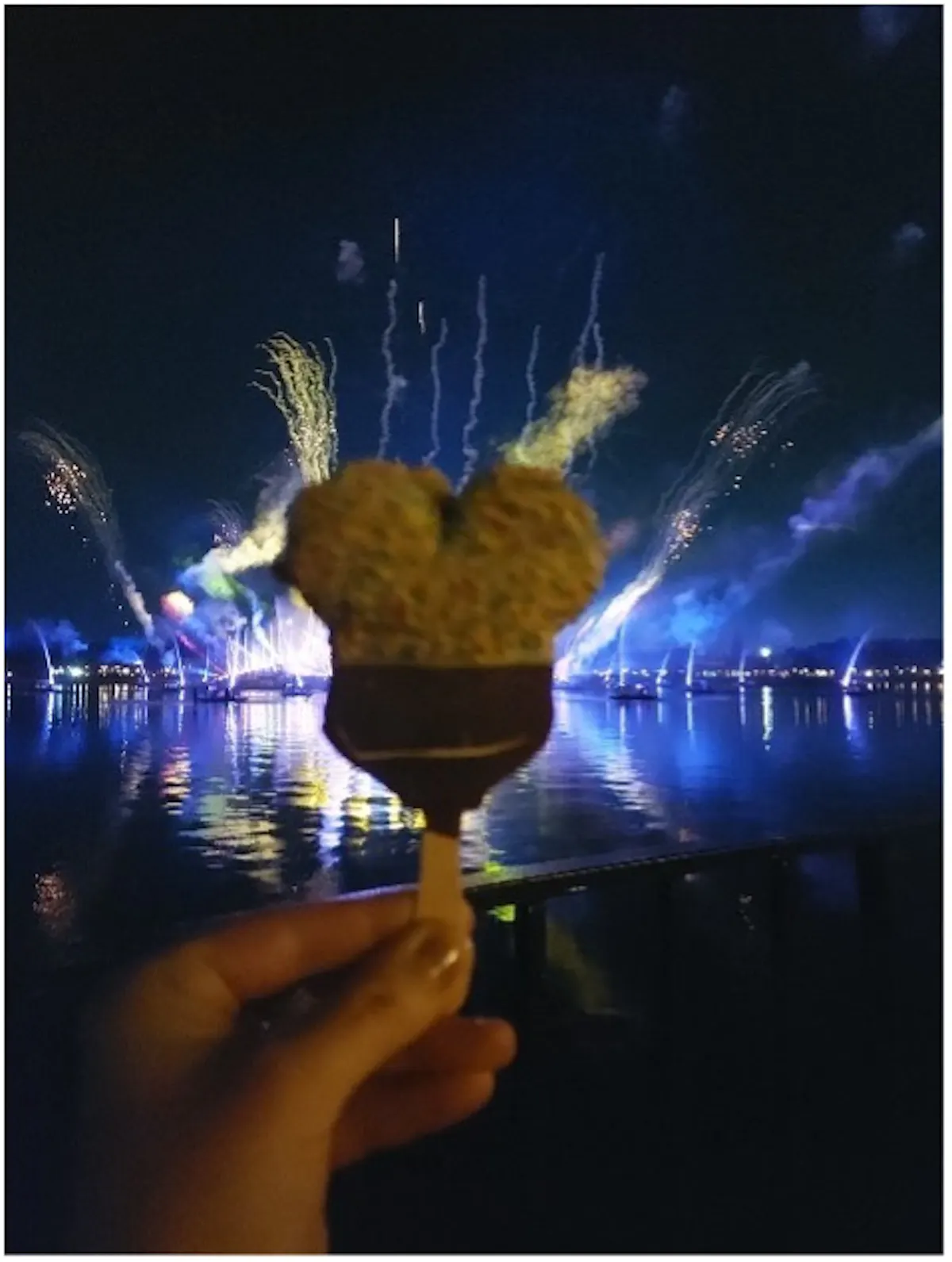 sarahnwaltdisney