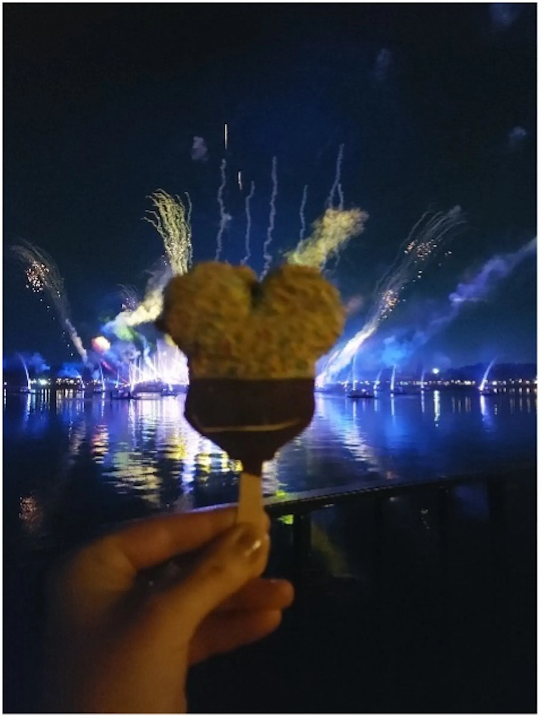 sarahnwaltdisney