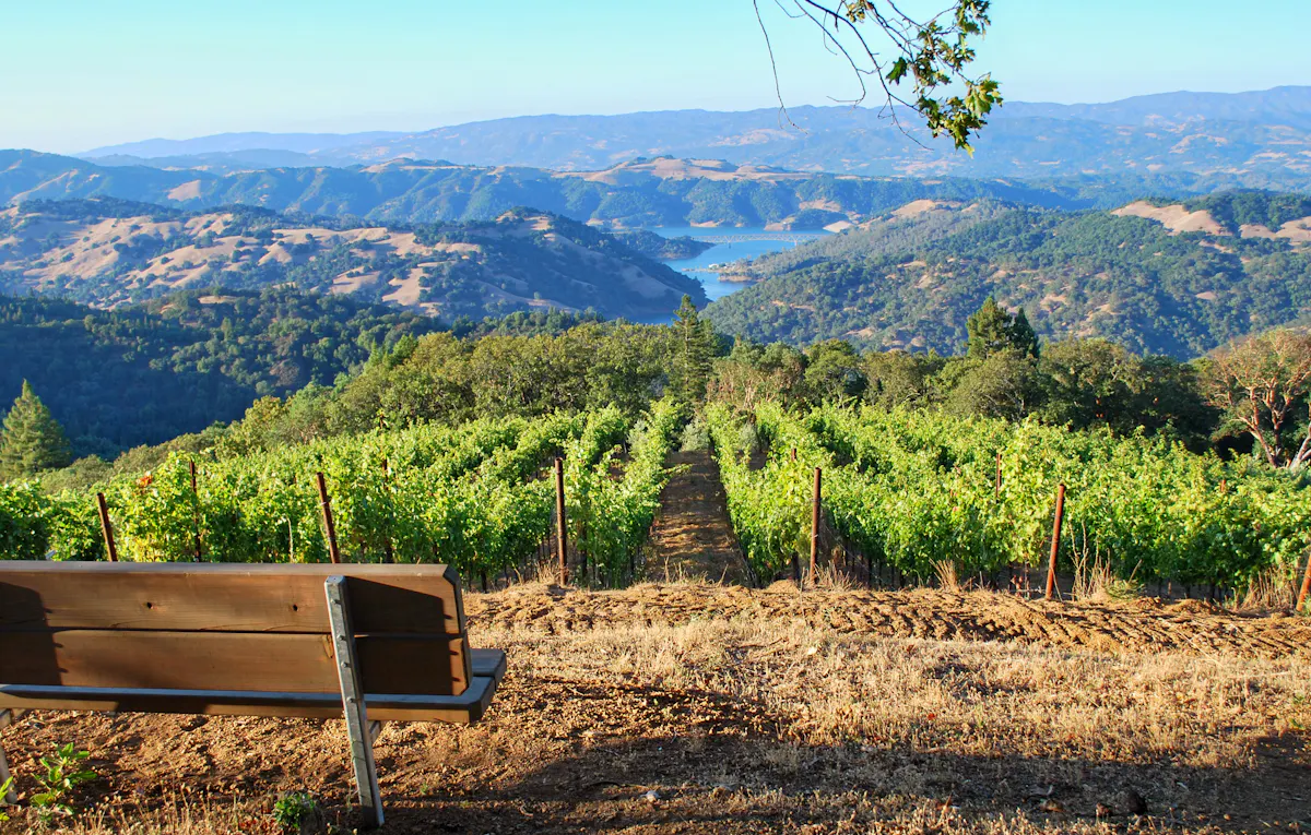 scenic vineyards summer Gustafson picnic area Sonoma County 036