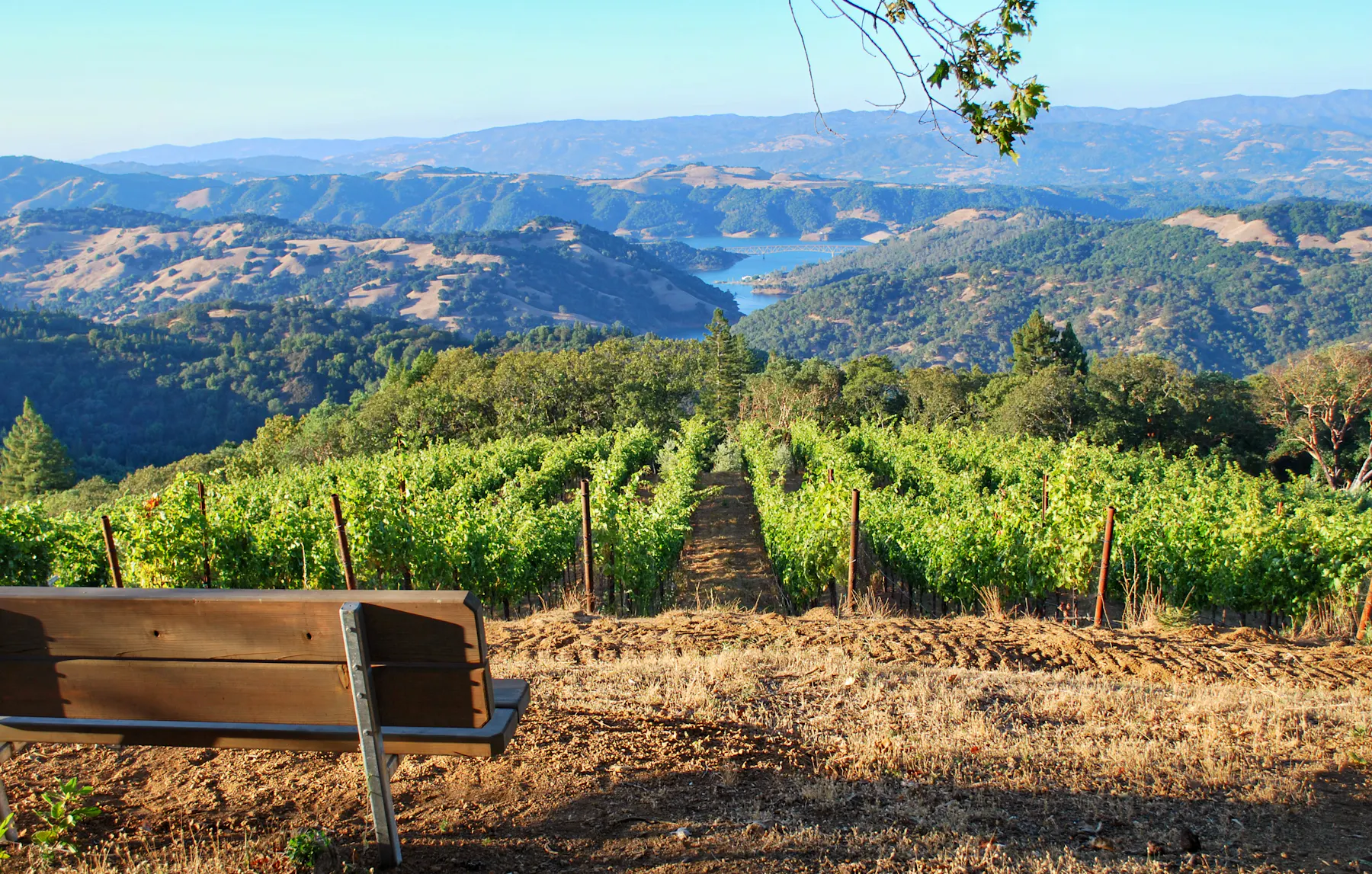 scenic vineyards summer Gustafson picnic area Sonoma County 036