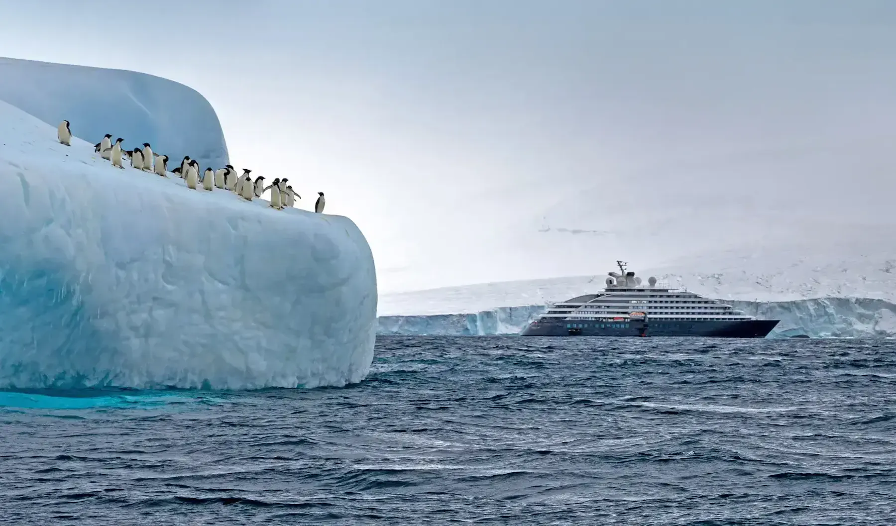 sceniceclipseantarctica e1755519703589