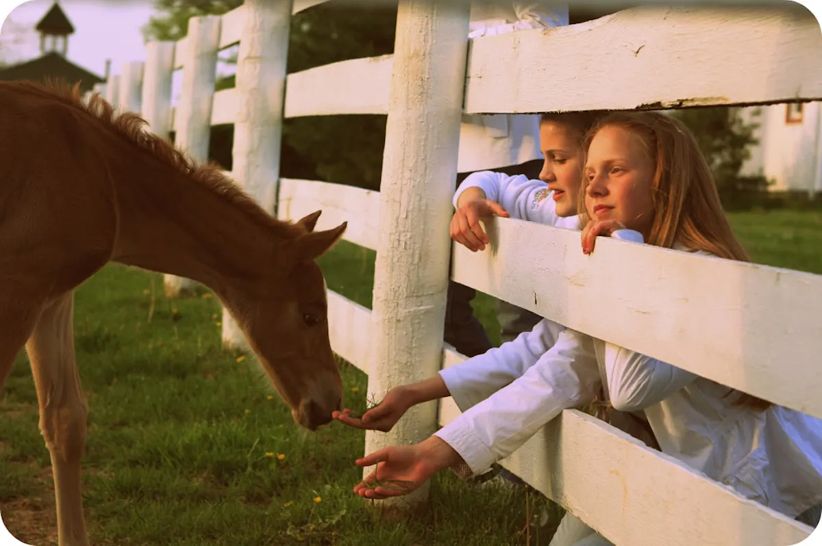 shelbville children with horses