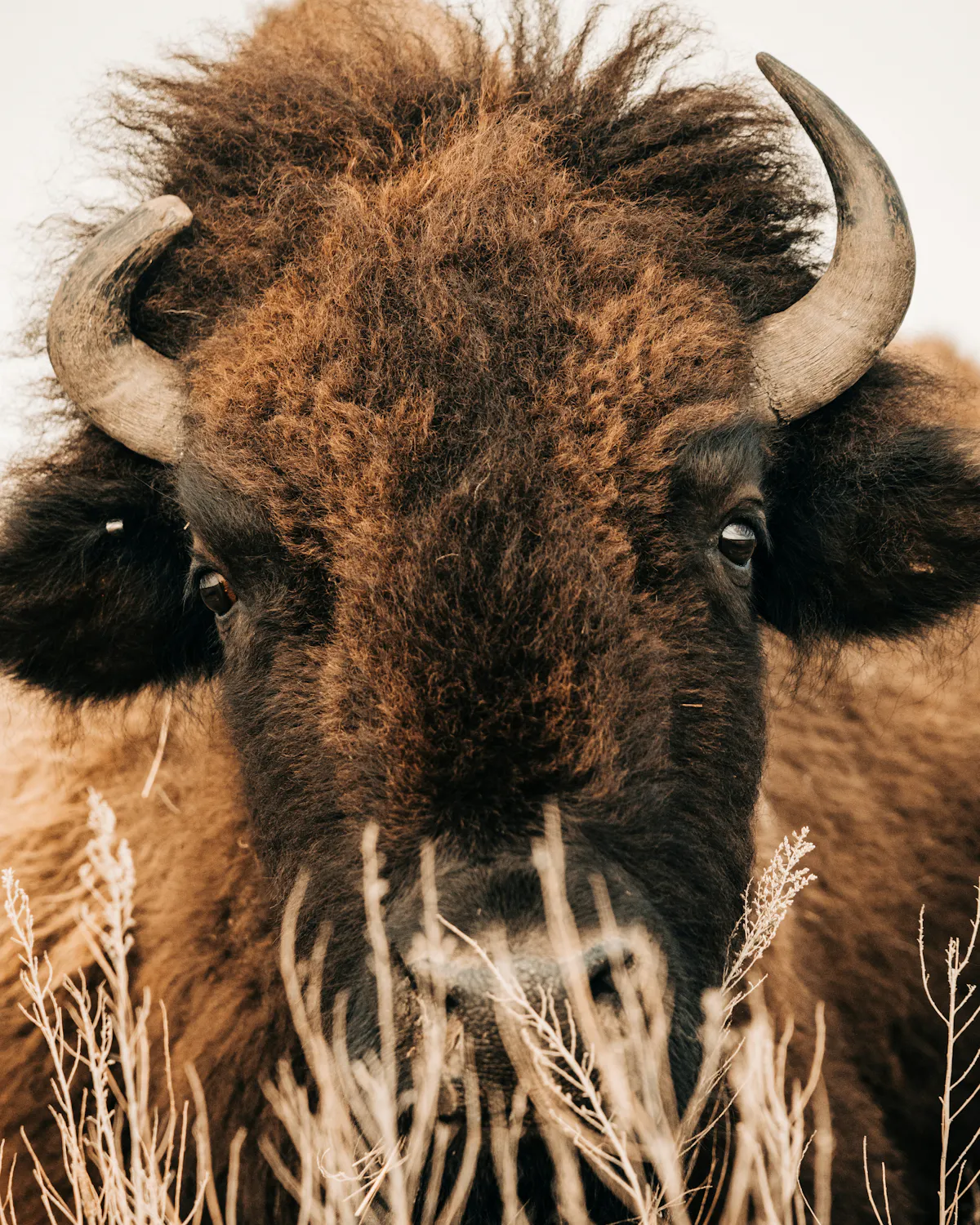 simon maage 37zDH WyfH0 unsplash