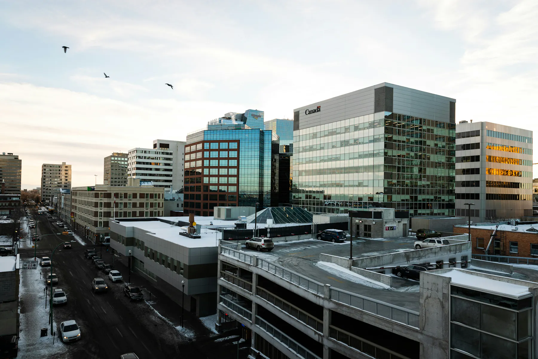 tandem x visuals ZJxRqaMCBfU unsplash