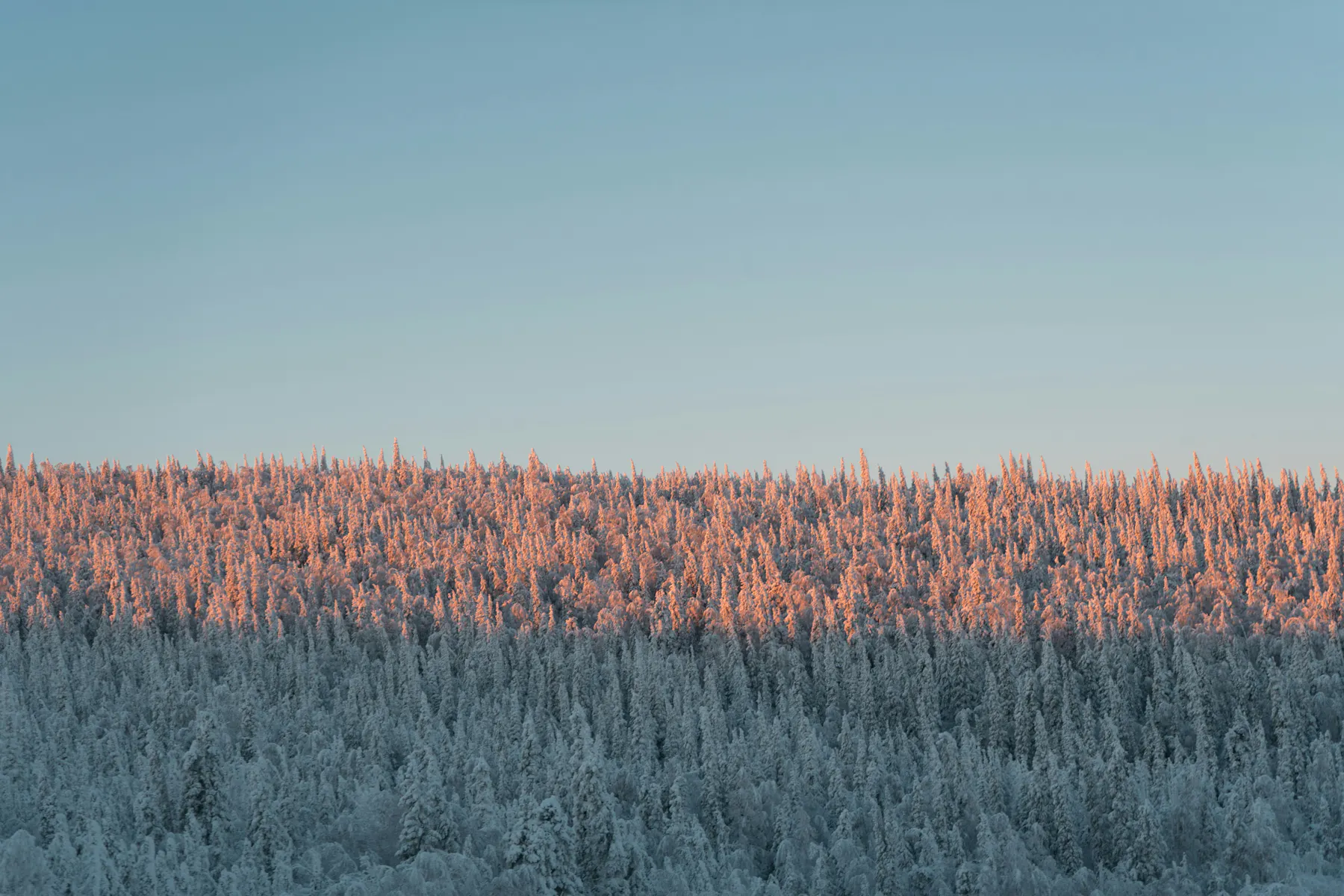 tommy tang UbJ6DPfteJM unsplash