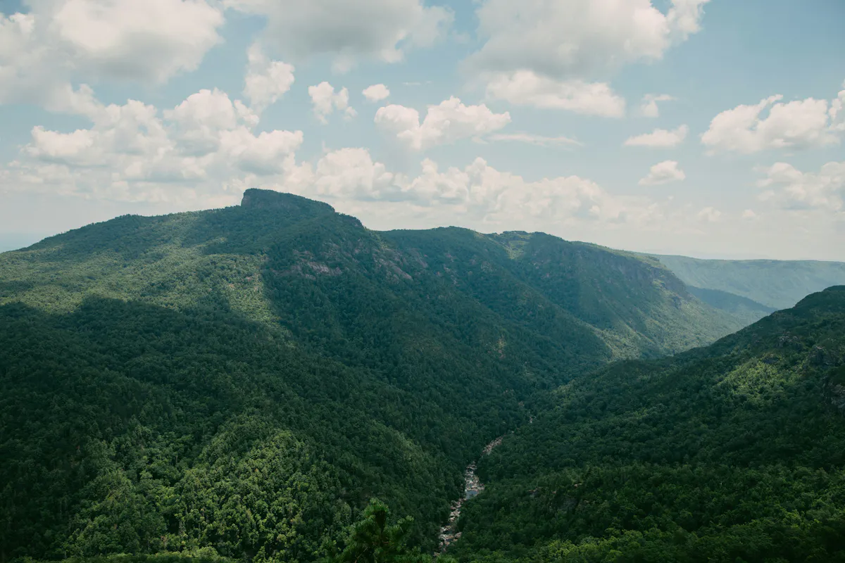 wes hicks RwEjFqQGJPE unsplash