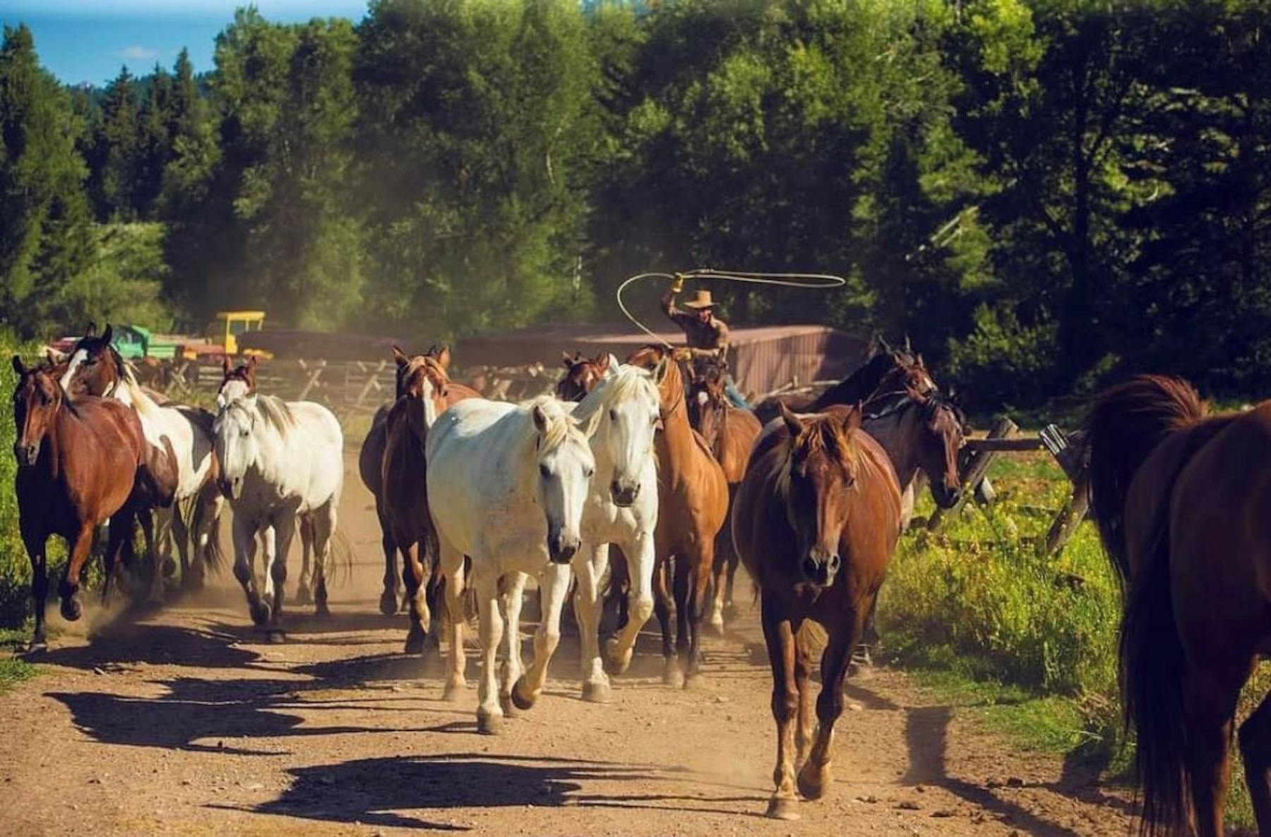 wyomingranches Instagram 2700 ig 17950367231381156
