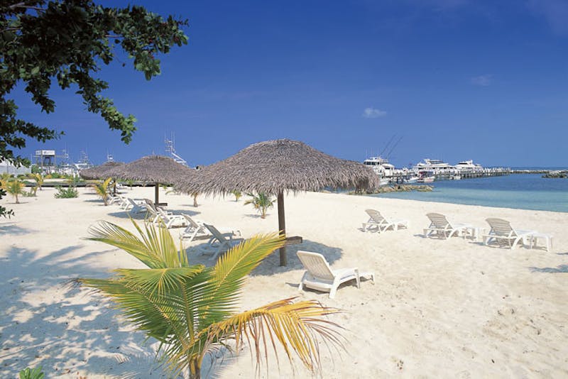 BahamasAbaco Beach Resort