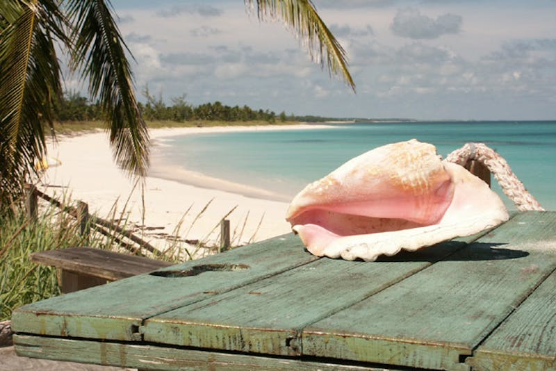 Pineapple Fields Strand