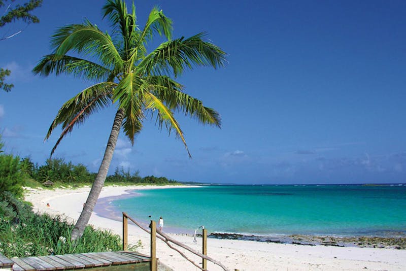 Pineapple Fields Strand