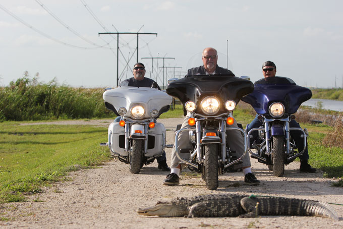 EagleRiderBikerund Aligator