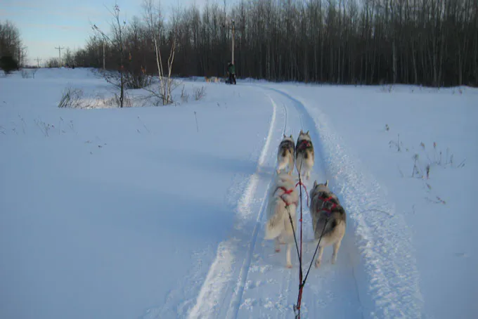 SkiBCSun PeaksDogsledding3