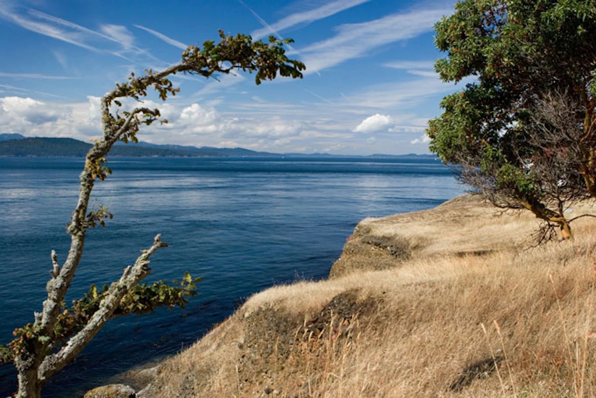WASanJuanIslands 05