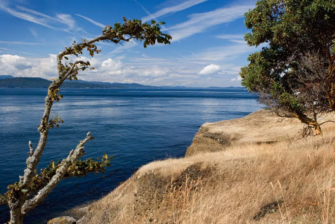 WASanJuanIslands 05