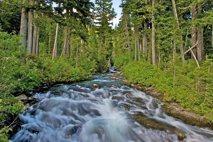 WAMountRainier 05