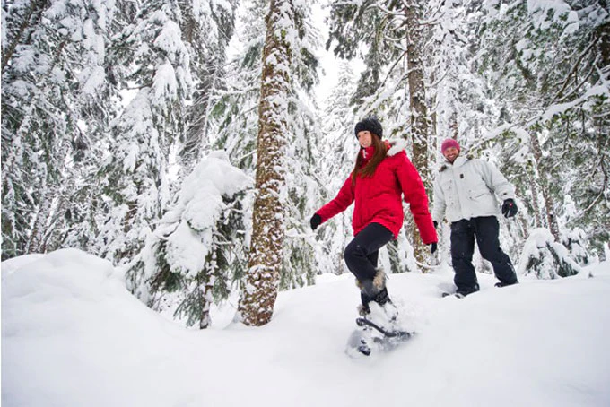 SkiBritishColumbia Whistler 12 Snowshoe Tour