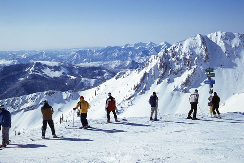 Alta/ Snowbird by Richard Cheski