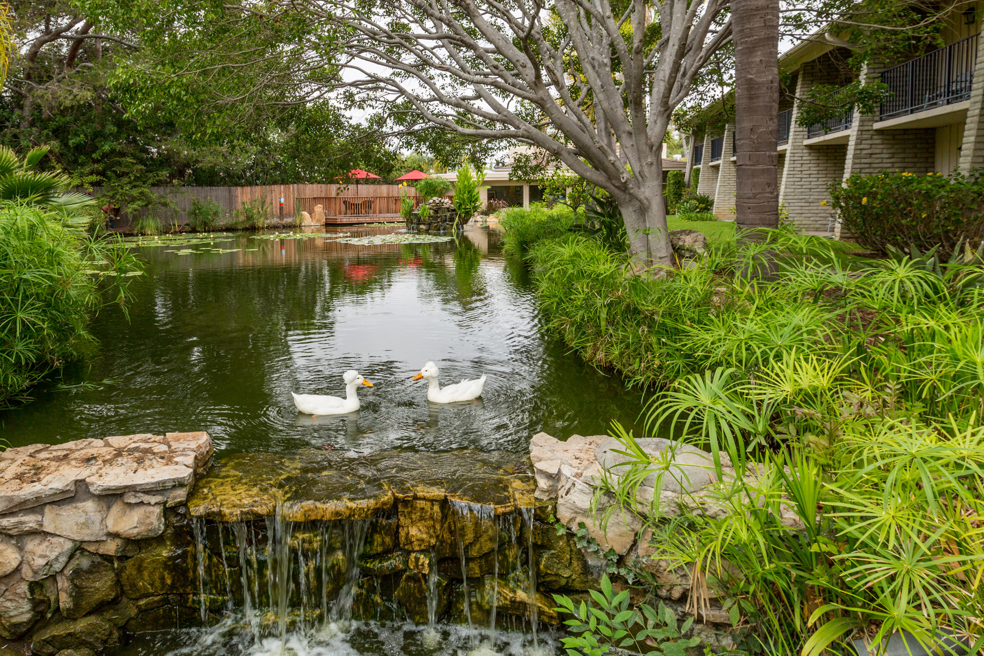 Ramada Santa Barbara Lagoon