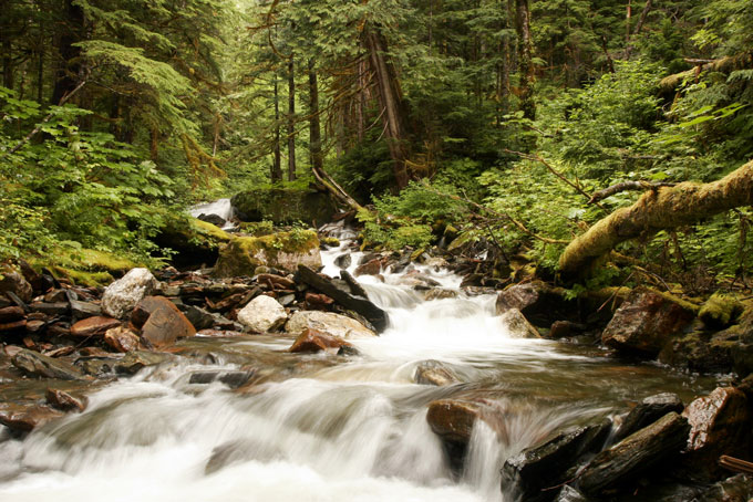 British ColumbiaSpirit Bear Lodge4