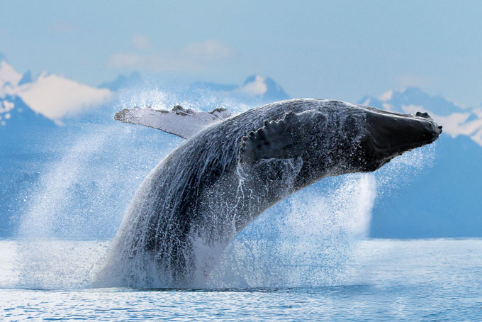 KreuzfahrtenNCLAlaska2