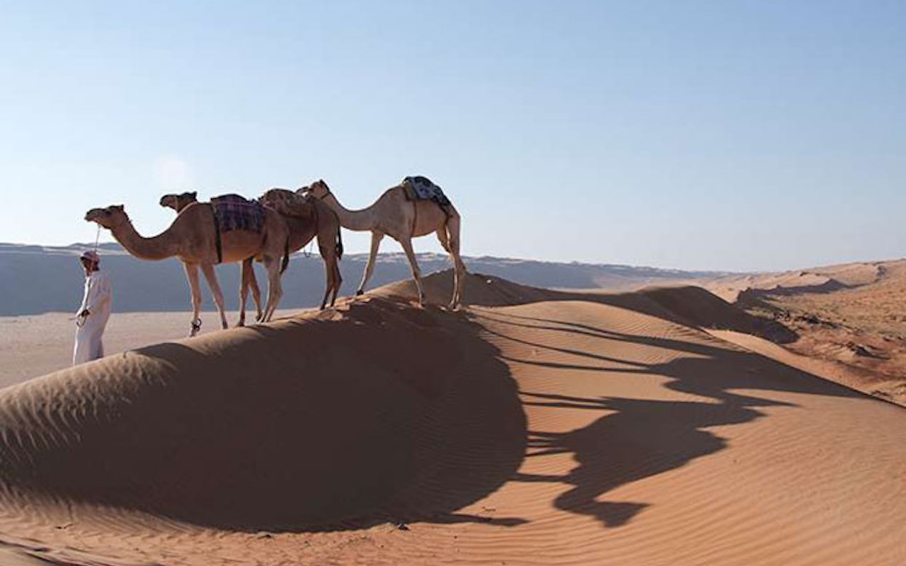 Oman Camel Safari 1