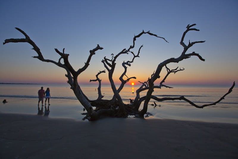 GeorgiaJekyll IslandDriftwood Beach
