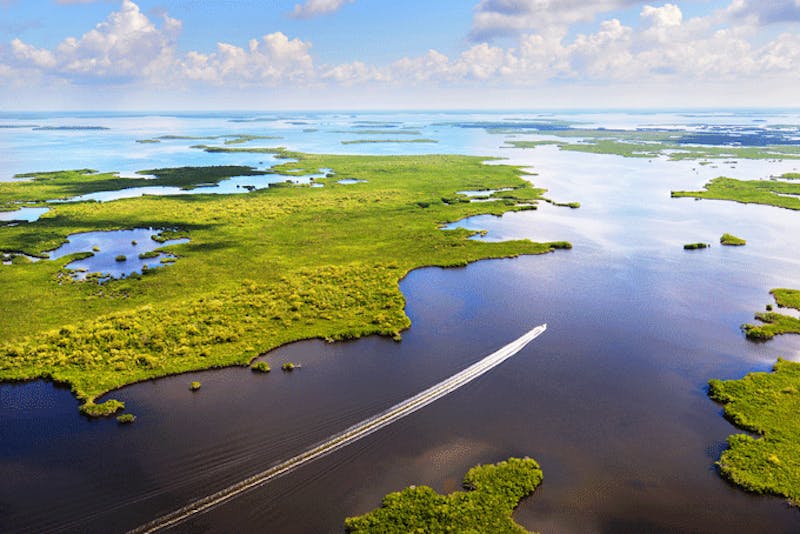 FloridaFlorida Everglades1