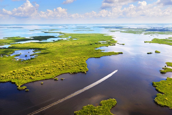 FloridaFlorida Everglades1