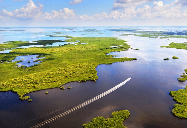 FloridaFlorida Everglades1