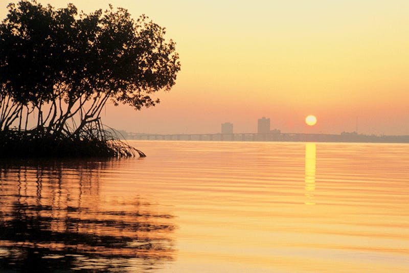 FloridaFlorida Fort Myers Sunrise