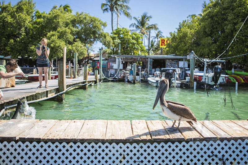 FloridaFlorida Islamorada1