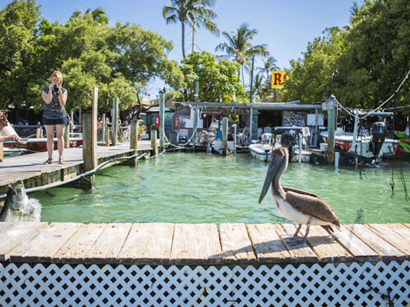 FloridaFlorida Islamorada1