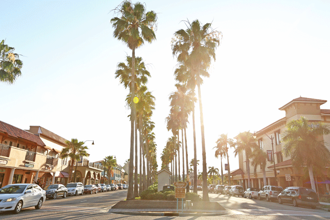 FloridaFlorida Sarasota4