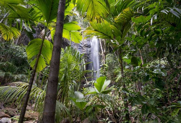 SeychellenSeychellen Waterfall Vallee