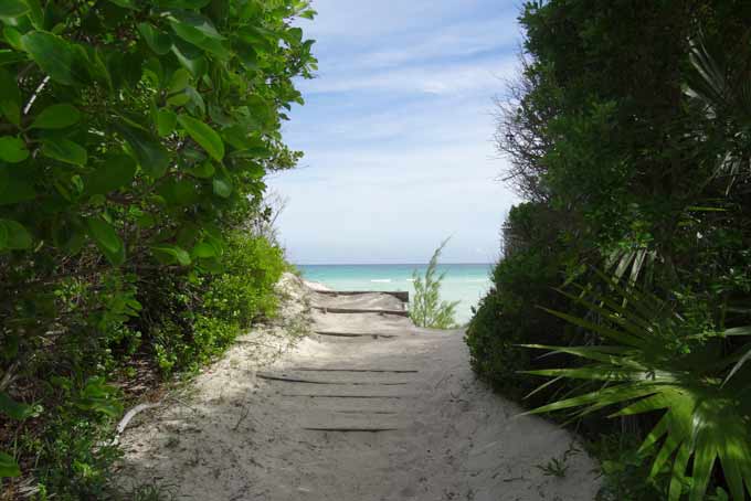 BahamasFreeportGold Rock Beach