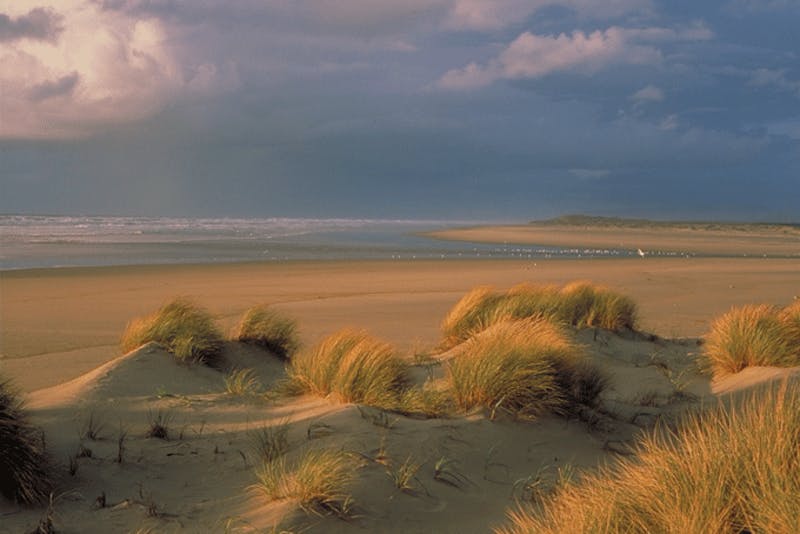 OregonNewportDunes
