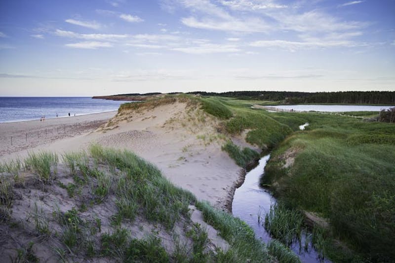 PEIStrand