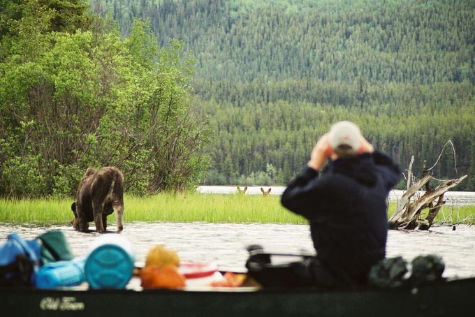 YukonRubyRange Wildlife