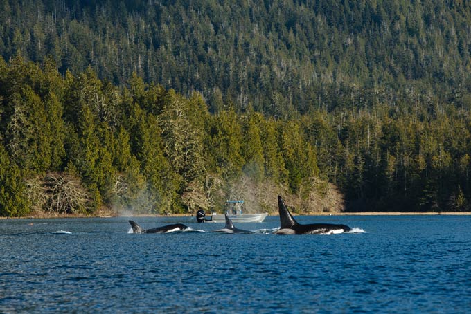 British ColumbiaTofino7