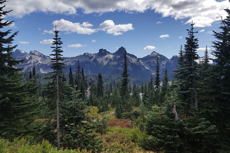 Washington StateMount RainierBerge