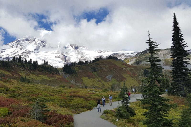 Washington StateMount RainierWanderung
