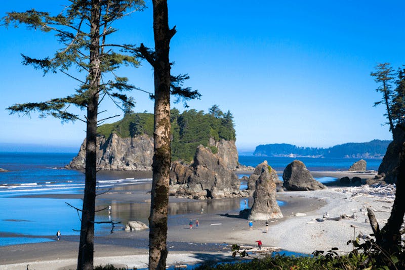 Washington StateOlympic NationalparkRuby Beach