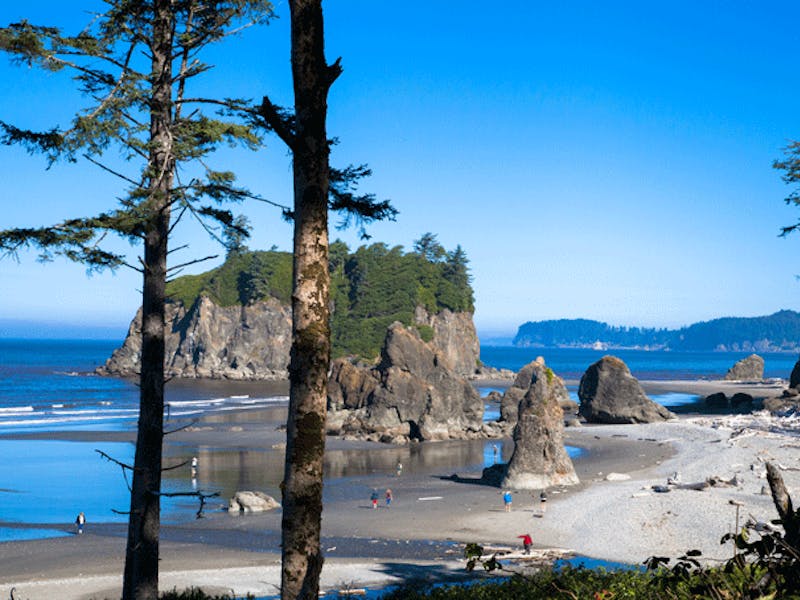 Washington StateOlympic NationalparkRuby Beach