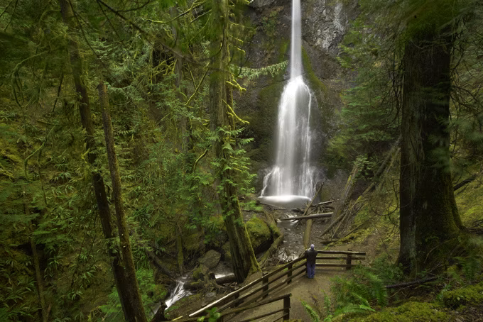 Washington StateOlympic NationalparkWaterfalls