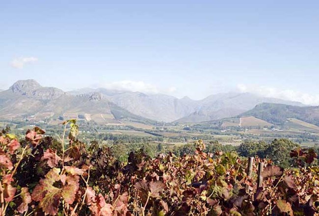 SuedafrikaFranschhoekCabriere Wine Farm